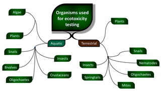 <span class="mw-page-title-main">Environmental toxicology</span>