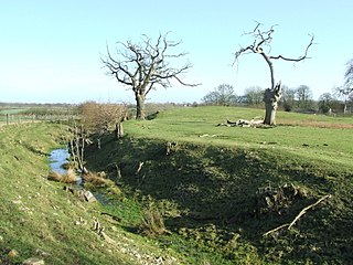 <span class="mw-page-title-main">Denham Castle</span>