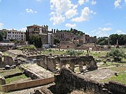 Foro Romano e Palatino (visti da via dei Fori Imperiali)