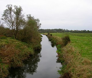 <span class="mw-page-title-main">Lewes and Laughton Levels</span>