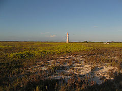 Isla La Tortuga Dep Fed Venezuela 1.jpg