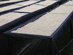 Coffee beans drying in Maraba. Coffee is one of Rwanda's major cash crops.