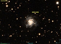 NGC 2466