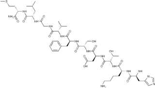 <span class="mw-page-title-main">Neurokinin A</span> Chemical compound