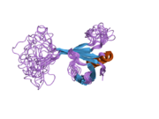 PDB 1zyi EBI.png