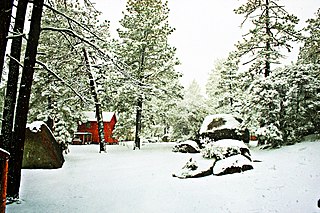 <span class="mw-page-title-main">Sierra Juárez and San Pedro Mártir pine–oak forests</span> Temperate coniferous forests ecoregion in Baja California, Mexico