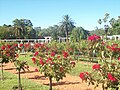 El Rosedal, Argentinia