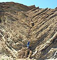 Syncline in the lower parking lot of Calico Ghost Town ; note ductile folding at base, brittle above.