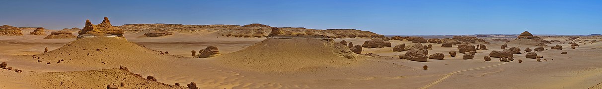 Wadi Al-Hitan, the Whale Valley