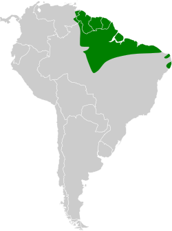 Distribución geográfica del mosquerito guayanés.