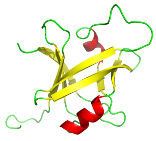 <span class="mw-page-title-main">B3 domain</span> DNA binding domain