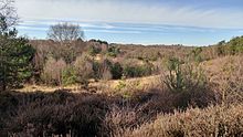 Castle bottom Nature reserve in February 2017 Castlebottomnnr.jpg