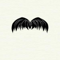 "Chevron" moustache style