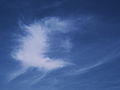 * Nomination Cirrus cloud --Kreuzschnabel 16:34, 24 April 2013 (UTC) * Promotion Bit dark but ok. --Mattbuck 12:04, 2 May 2013 (UTC)