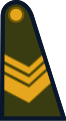 Cabo primero (Argentine Army)[5]