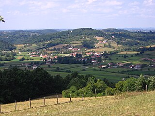 <span class="mw-page-title-main">Ivanovci (Ljig)</span> Village in Kolubara District, Serbia