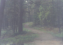 Jogging trail in a municipal park in Ruidoso just after sunrise, July 2008 Jogging 07-03-2008 11;07;19PM.JPG