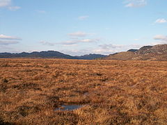 Kentra Moss flatlands