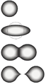 Image 8The stages of binary fission in a liquid drop model. Energy input deforms the nucleus into a fat "cigar" shape, then a "peanut" shape, followed by binary fission as the two lobes exceed the short-range nuclear force attraction distance, and are then pushed apart and away by their electrical charge. In the liquid drop model, the two fission fragments are predicted to be the same size. The nuclear shell model allows for them to differ in size, as usually experimentally observed. (from Nuclear fission)