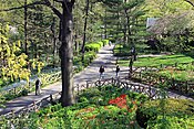 The Shakespeare Garden in Central Park, dedicated on June 2, 1989.