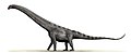 Argentinosaurus