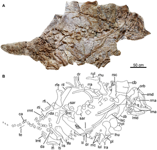 <i>Chuanqilong</i> Extinct genus of dinosaurs