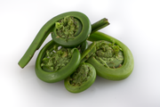 junge Farnspitzen (Fiddlehead) (z. B. Straußenfarn, Königsfarn, Perlfarn, Wald-Frauenfarn sowie Stenochlaena palustris, Pteridium aquilinum, Osmunda japonica, Matteuccia struthiopteris)