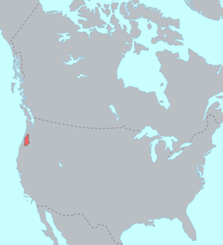 <span class="mw-page-title-main">Kalapuyan languages</span> Language family