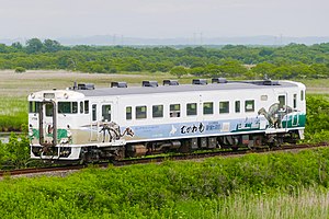 日高本線を走るキハ40形気動車 （2022年6月 浜厚真駅 - 勇払駅間）