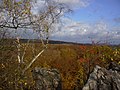 Čeština: Buližníkové skalní suky vystupují nad okolní lesy English: Beech forest around Výrovka rocky outcrop