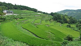 小山の棚田