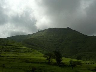 Rohida fort