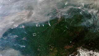 <span class="mw-page-title-main">2019 Russian wildfires</span> Spate of forest fires in Russia