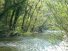 River bend in a thick deciduous forest