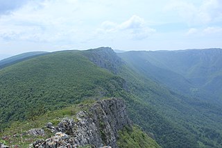 <span class="mw-page-title-main">Pešturina</span> Cave and archaeological site in Serbia