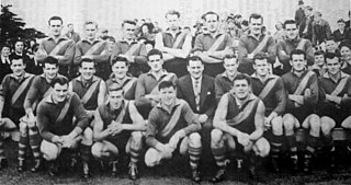 <span class="mw-page-title-main">1954 VFA season</span>