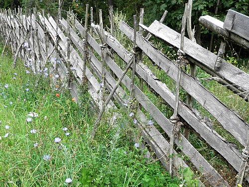 Fence on the island of Gotland (Sweden)