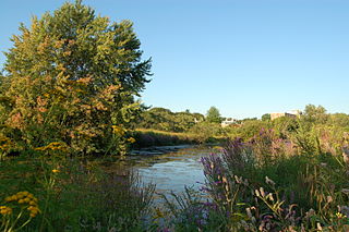 <span class="mw-page-title-main">Alewife Brook Reservation</span> State park and reservation in Massachusetts, USA