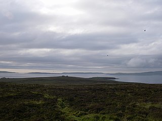 <span class="mw-page-title-main">Cava, Orkney</span> Uninhabited island in Scotland