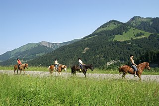 <span class="mw-page-title-main">Trail riding</span> Traveling on trails and forest roads by horse, bicycle, motorcycle, or all-terrain vehicle