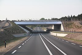 Ecoduct Treeker Wissel