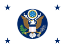 Flag of the Deputy Secretary of State