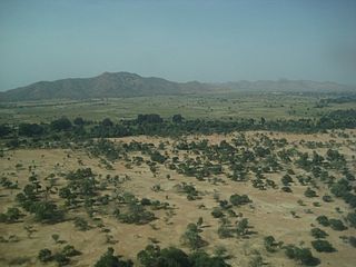 <span class="mw-page-title-main">Wildlife of Chad</span>