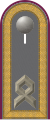 Jacke Dienstanzug Heeresuniformträger ABC-Abwehrtruppe