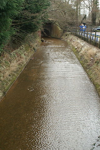 <span class="mw-page-title-main">Monks Brook</span> River in Hampshire, England