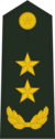 陆军中将