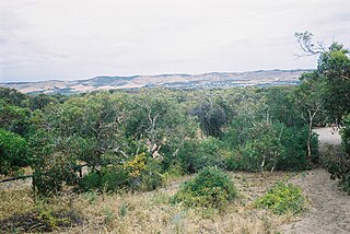 Sellicks Hill, South Australia Suburb of City of Onkaparinga, District Council of Yankalilla, South Australia