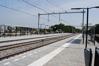 <span class="mw-page-title-main">Maarheeze railway station</span> Railway station in the Netherlands