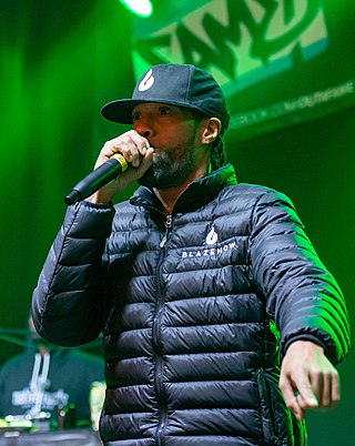 <span class="mw-page-title-main">Redman (rapper)</span> American rapper (born 1970)