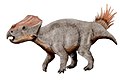 Ajkaceratops